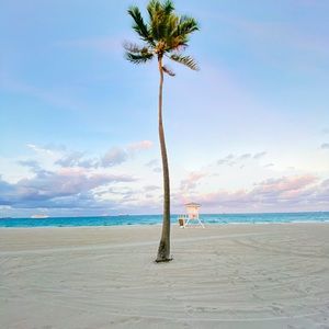 Meet your Posher, Mariah